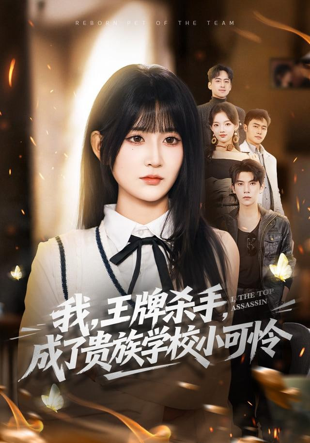 我，王牌杀手，成了贵族学校小可怜（我王牌杀手成了贵族学校小可怜）(全集)