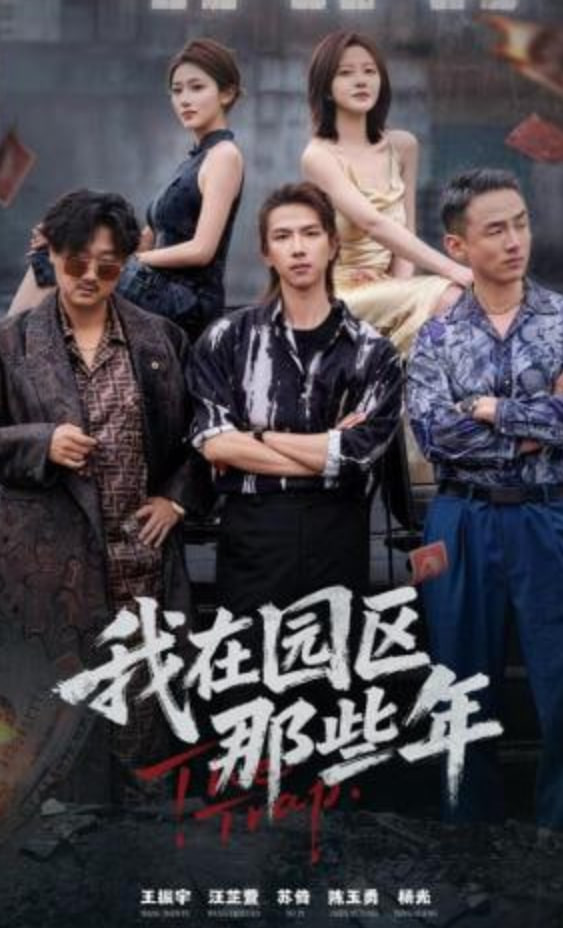 我在园区那些年(全集)