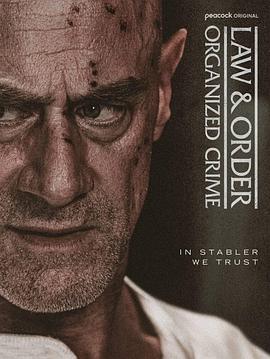 法律与秩序：组织犯罪第五季(全集)