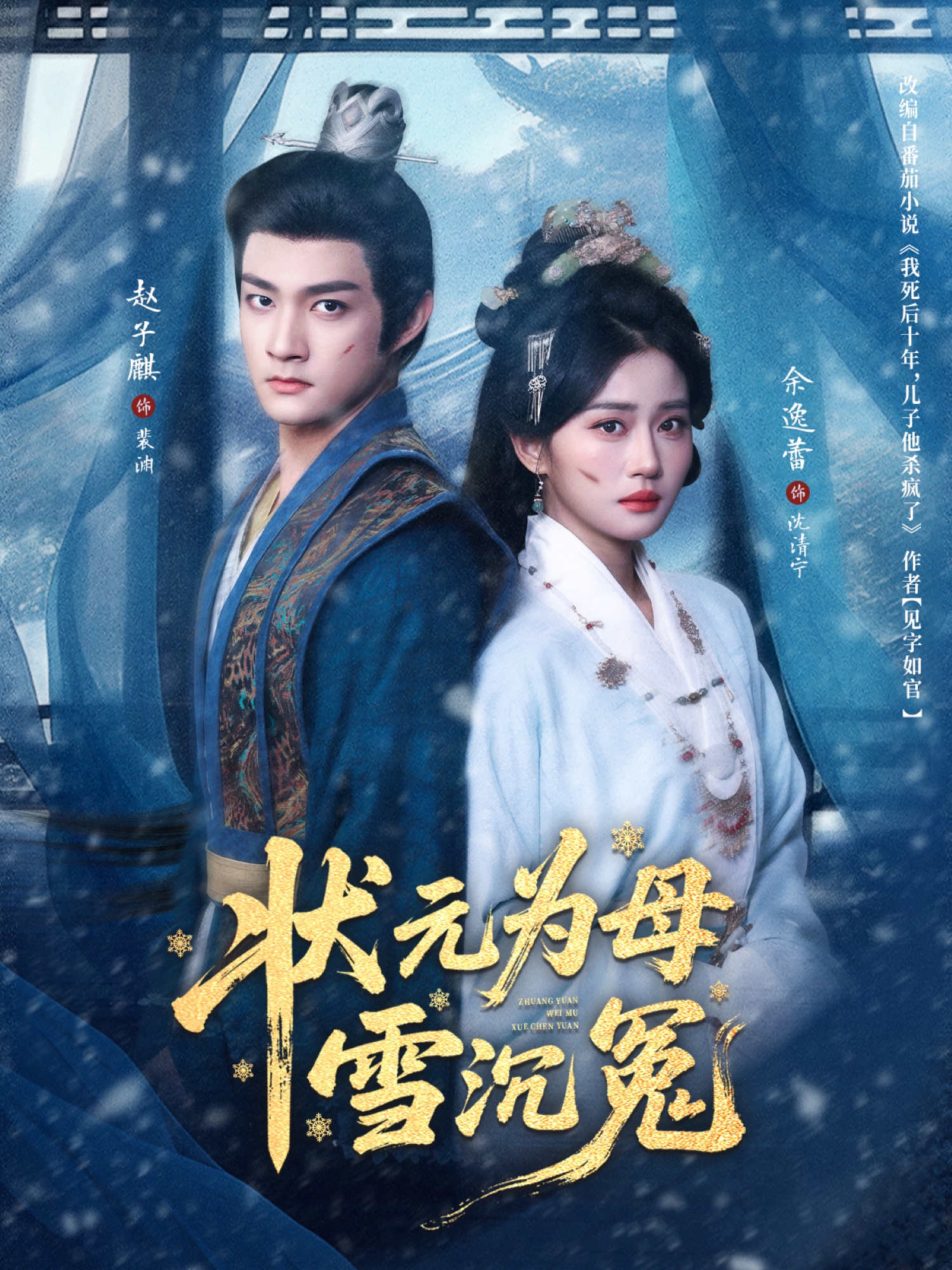 状元为母雪沉冤(全集)